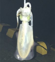 連休妻と釣り旅行