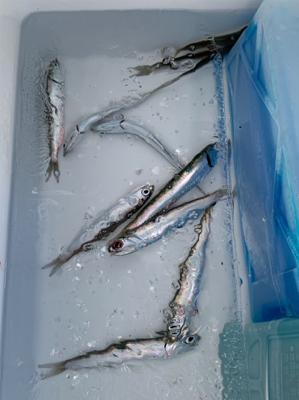 霞埠頭 ウール岸壁にて。