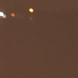 どれだけ食べるの？