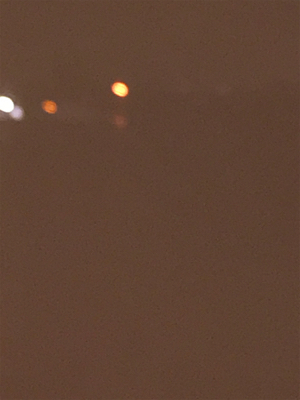 どれだけ食べるの？