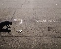 アジング練習 42