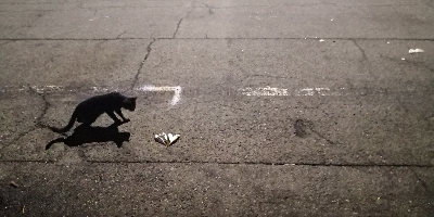 アジング練習 42