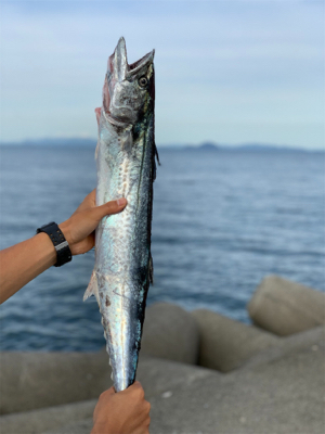 ハジメテノサワラ