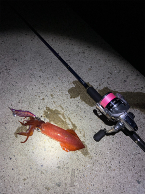 淡路島東側ランガン