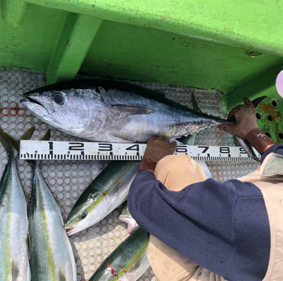 孝洋丸 落とし込み&飲ませ
