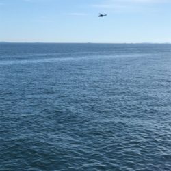 渋い中のハマチ一本