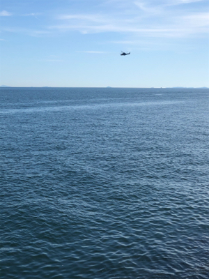 渋い中のハマチ一本