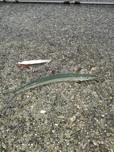 ベイトは多いが