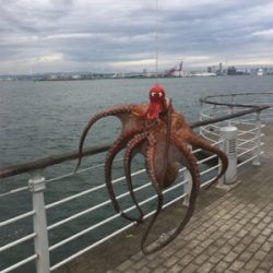 激シブなのでオクトパッシング