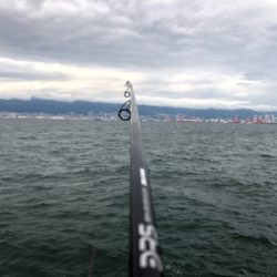 ミニ波止でショアジギング