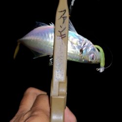 アジング練習 44