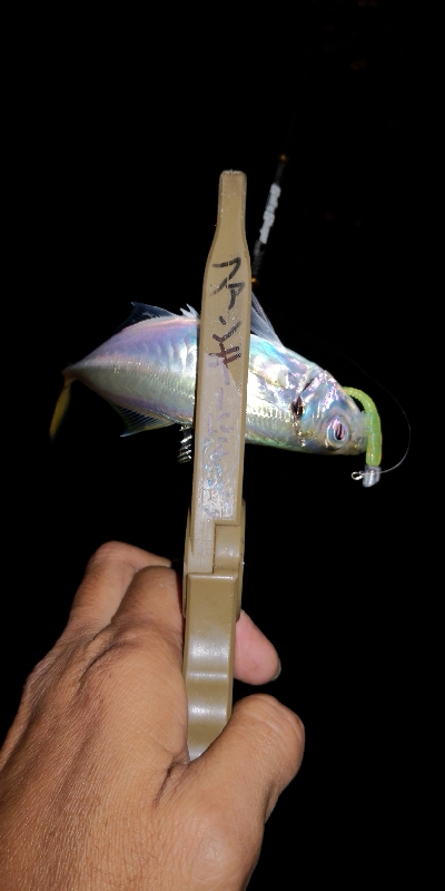 アジング練習 44