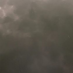 神戸湾奥水路でサスケ烈波120?