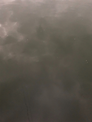 神戸湾奥水路でサスケ烈波120?