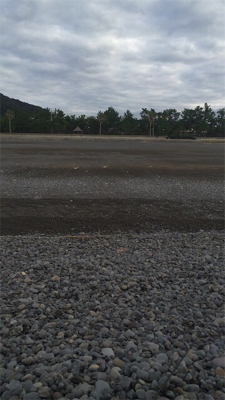 ライトショアジギング