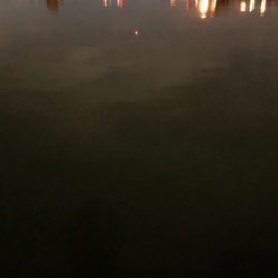 タッチ〜ご機嫌斜め⁉️