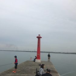 タチウオ、その他ショア ジギング