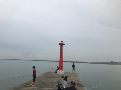 タチウオ、その他ショア ジギング