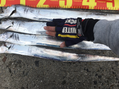 太短くて、よく引く！