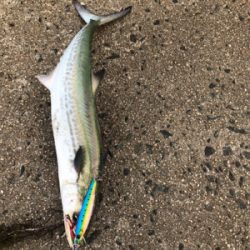 昼からのジギング*エギング‼︎