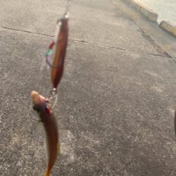 難し〜ぃ太刀魚釣り