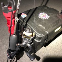 入れ食いアジング