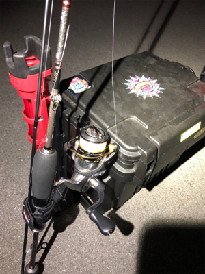 入れ食いアジング