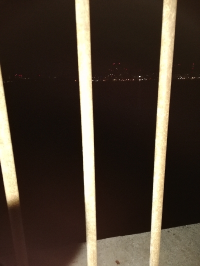 ドラゴン取ったどぉ