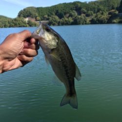 午前中ボート釣行！