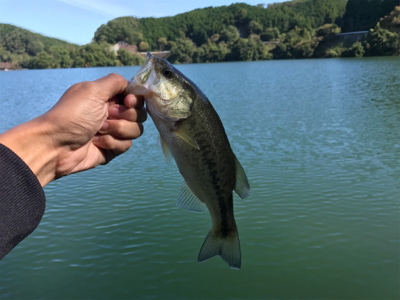 午前中ボート釣行！