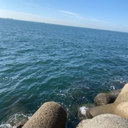 朝まづめタチウオ釣りから青物釣り