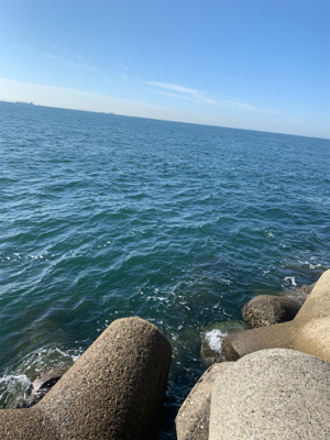 朝まづめタチウオ釣りから青物釣り