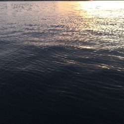 ドラゴンゲット