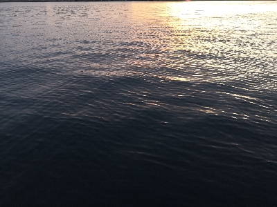 ドラゴンゲット