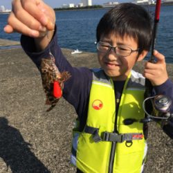 昼はのんびり。夜はバタバタ