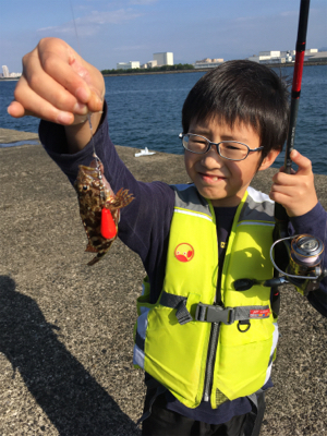 昼はのんびり。夜はバタバタ