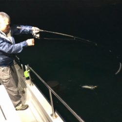 半夜テップラン