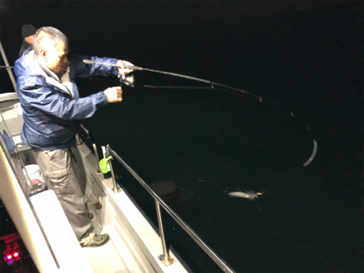 半夜テップラン