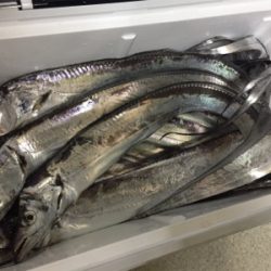 神戸港は活性高い!