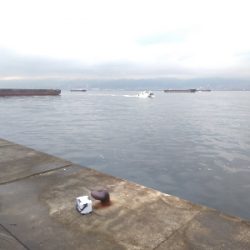 ドラゴンハンター