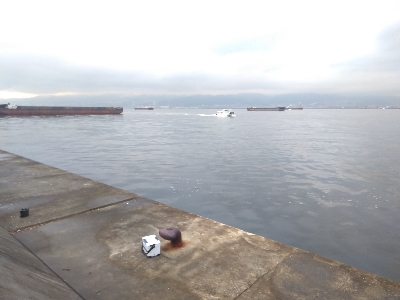 ドラゴンハンター