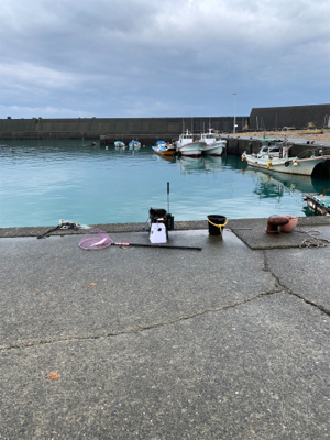 のんびりとフカセ