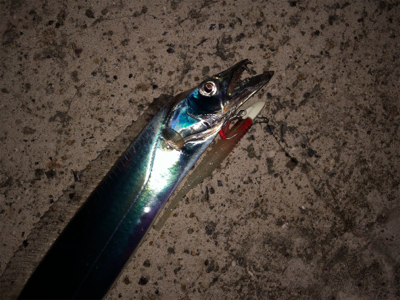 カラーチェンジが大事です