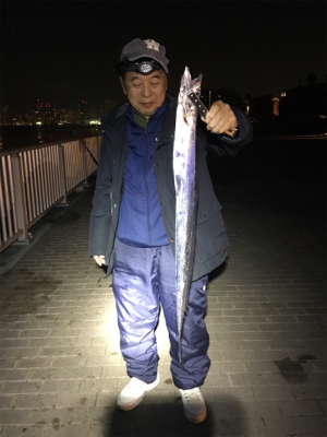 太刀魚　デカサバ