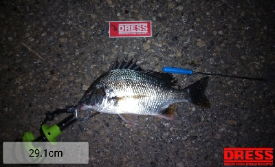 漸くマトモなのが居た