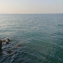 ラスト1投やり直し3回目!