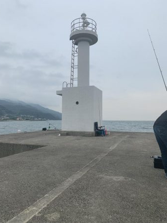 タチウオよ 何処へ?