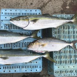 あたりは多いが