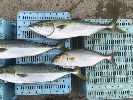 あたりは多いが