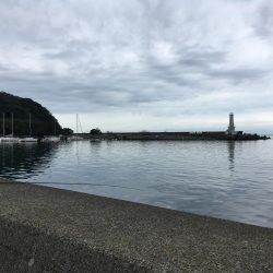 キジハタ メッキ